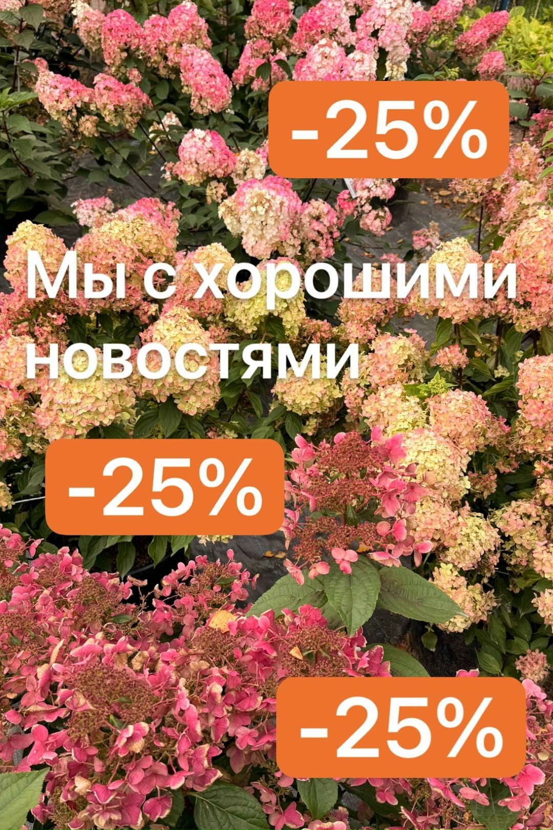 картинки блога