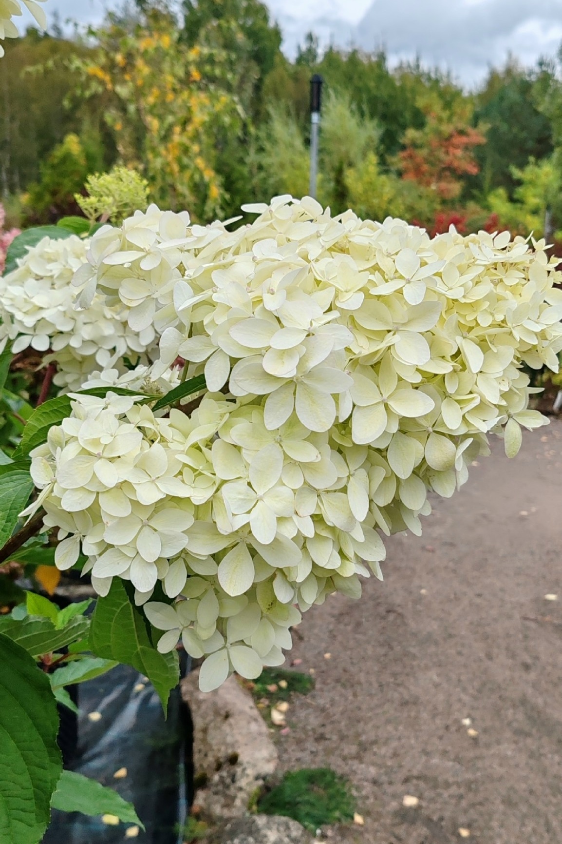 картинки блога